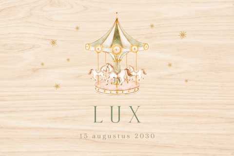 Memorybox met carrousel en paardjes 