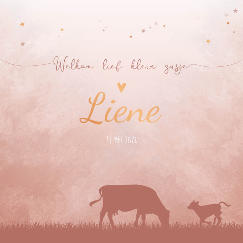 Geboortekaartje Meisje Trekker Koeien Boerderij