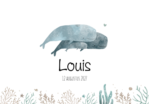 Geboortekaartje Jongen Zeedieren Water Duiken