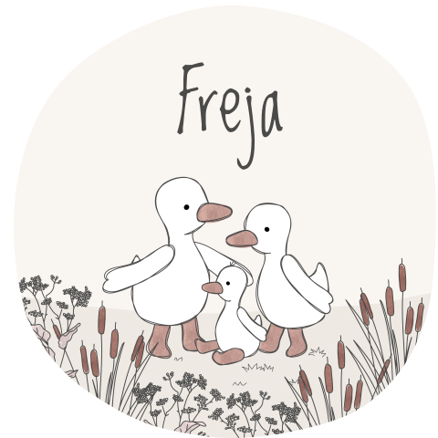 Geboortekaartje Meisje Rond Eendjes Schattig