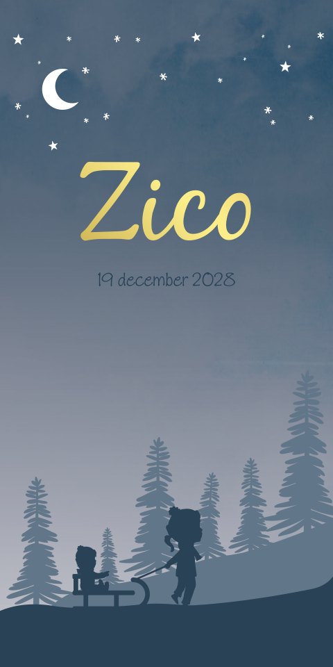 Geboortekaartje Jongen Winter Slee