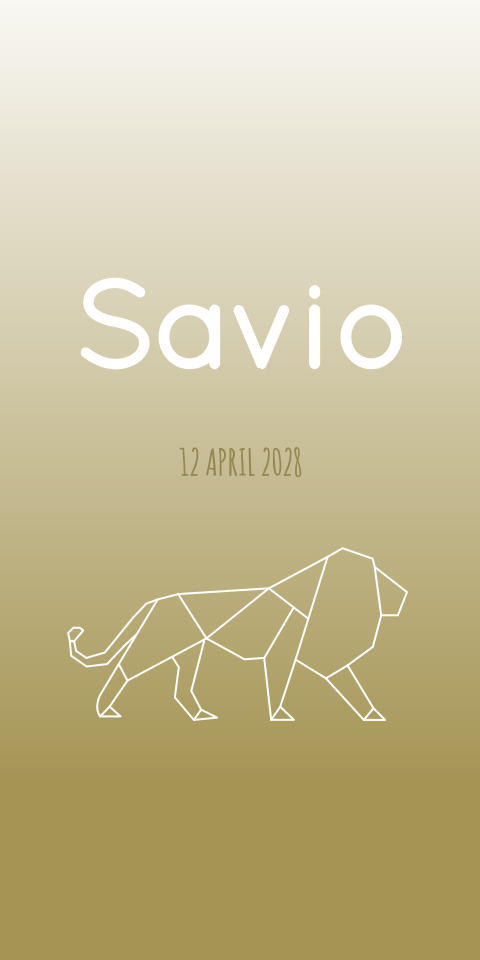 Geboortekaartje Groen Leeuw Grafische Tekening