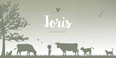 Geboortekaartje Jongen Groen Boerderij Koe