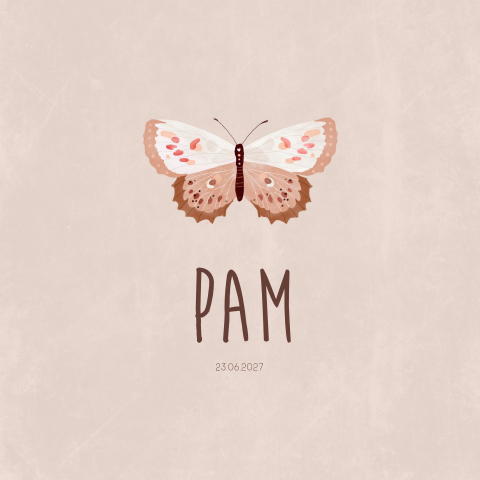 Geboortekaart meisje vlinder zacht roze waterverf