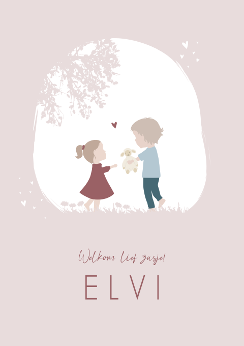 Geboortekaartje Meisje Roze Broer HappyHorse