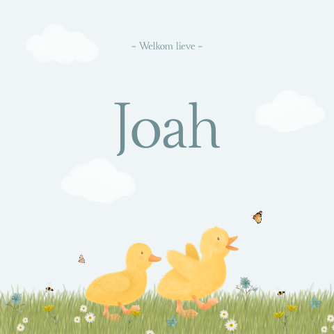 Geboortekaartje jongen Lente Bloemen Eendjes