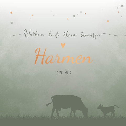 Geboortekaartje Jongen Trekker Koeien Boerderij