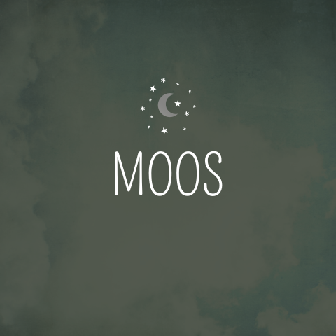 Geboortekaartje jongen maan donkergroen stoer