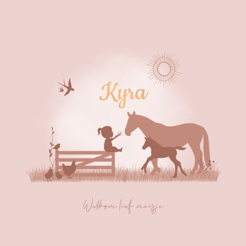 Geboortekaartje Roze Boerderij Paard Kip