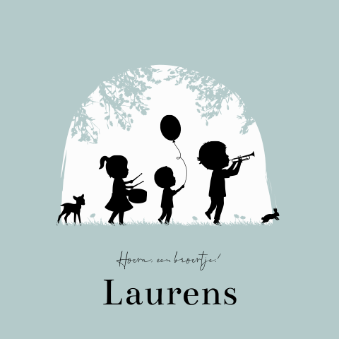 Geboortekaartje Jongen Dieren Muziek Feest