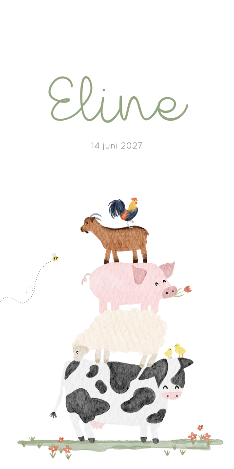 Geboortekaartje Meisje Boerderij Dieren Stapel
