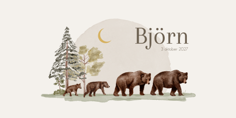 Geboortekaartje Jongen Berenfamilie Waterverf Panorama