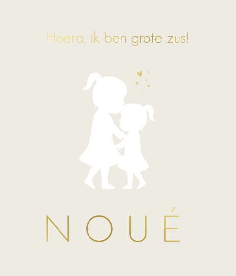 Label Grote Broer Zus Mini Geboortekaartje