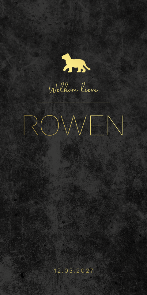 Geboortekaartje jongen goudfolie velvetlook zwart