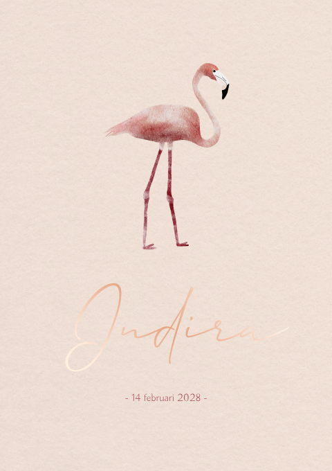 Geboortekaartje Meisje Flamingo Waterverf