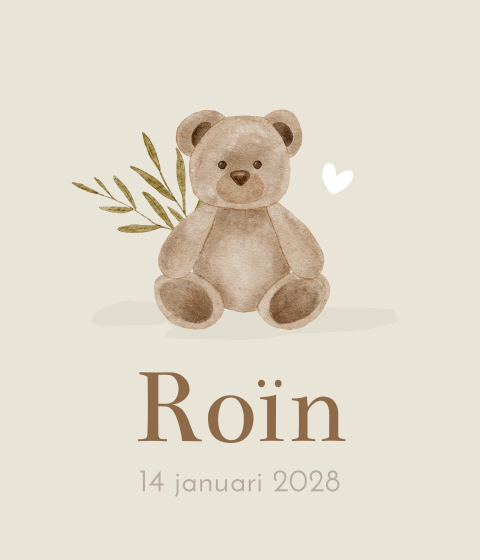 Meester Juf Geboortekaartje Teddy Beer