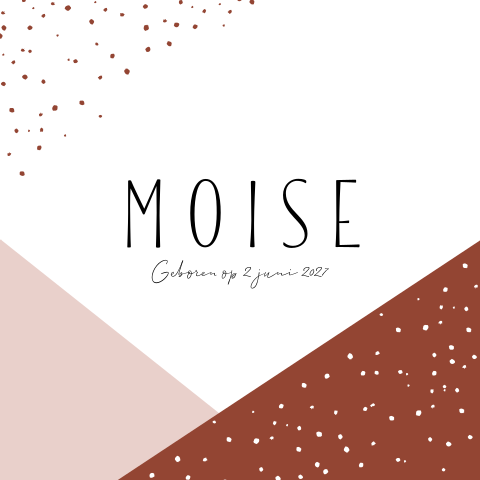 Geboortekaartje Geometrisch Stippen Strak bordeaux