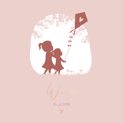 Geboortekaartje Vlieger Zusjes Silhouet