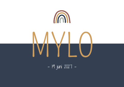 Geboortekaartje Jongen Regenboog Blauw Stoer