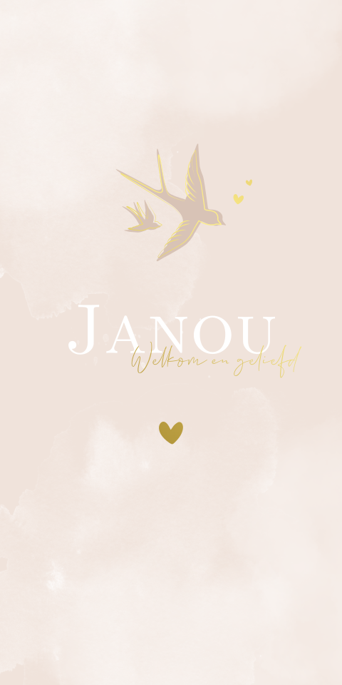 Geboortekaartje Meisje Zwaluw Vogels