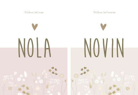 Geboortekaartje Tweeling Set Droogbloemen