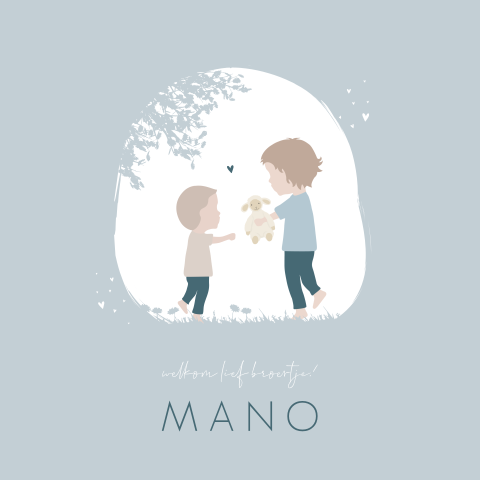 Geboortekaartje Jongen HappyHorse Broertjes Blauw