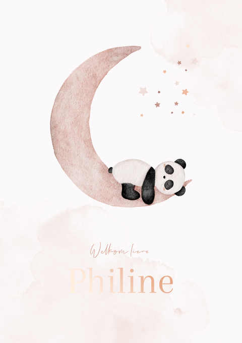 Geboortekaartje Meisje Maan Pandabeer Slapen