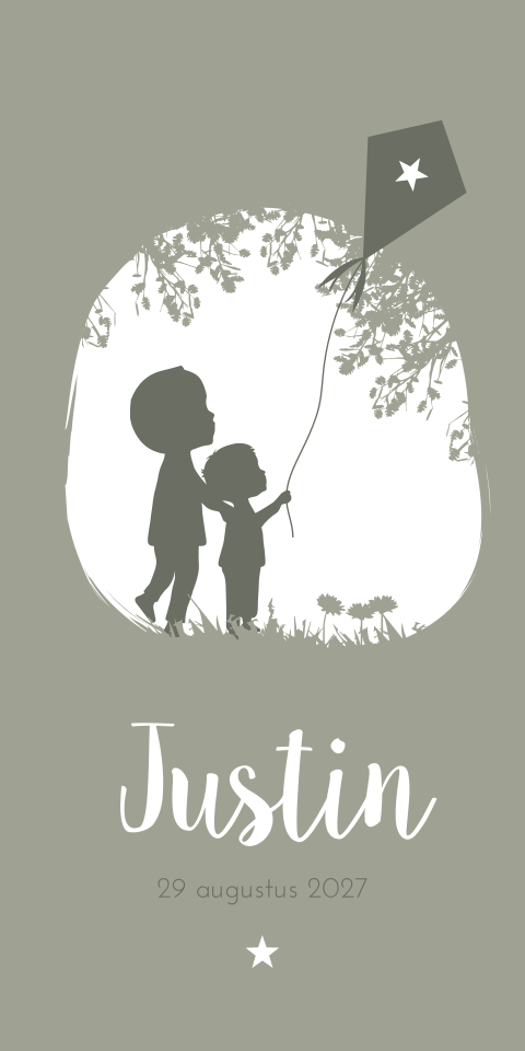 Geboortekaartje Jongen Broertjes Vlieger