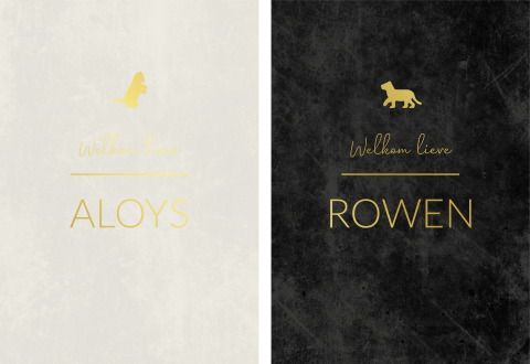 Geboortekaartje Tweeling Set Leeuwtjes Goudfolie