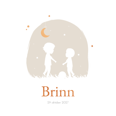 Geboortekaartje jongen broertjes Silhouet Voetballen