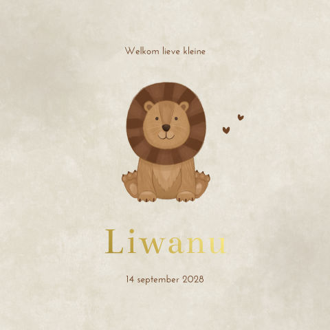 Geboortekaartje Jongen Leeuw