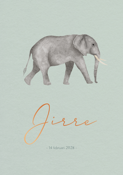 Geboortekaartje Jongen Olifant Waterverf