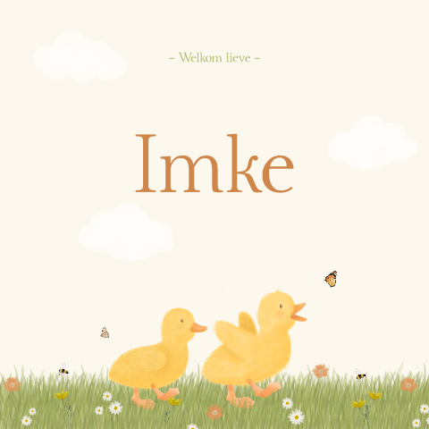 Geboortekaartje Meisje Lente Eendjes Bloemen