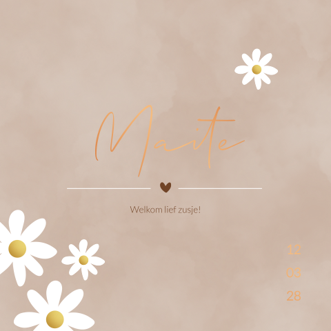 Geboortekaartje Meisje Roze Madeliefjes Zusje