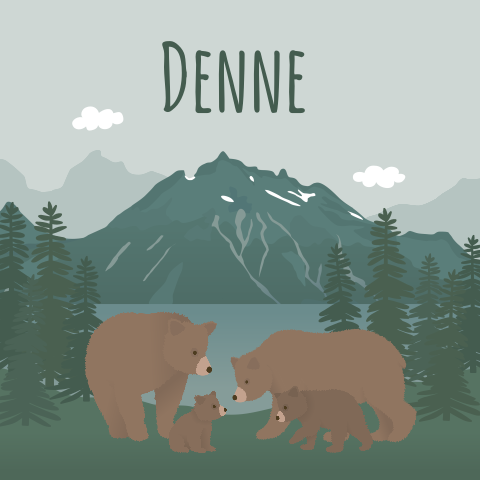 Geboortekaartje met beren en bergen