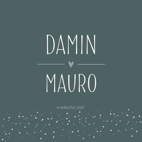 Geboortekaartje Tweelingjongens oudblauw stipjes