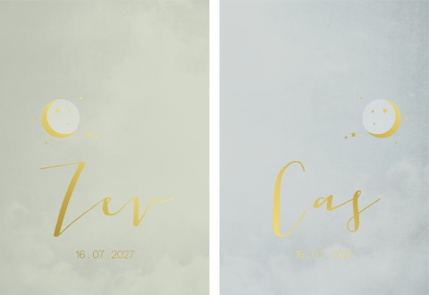 Geboortekaartje tweeling set maantje pastel