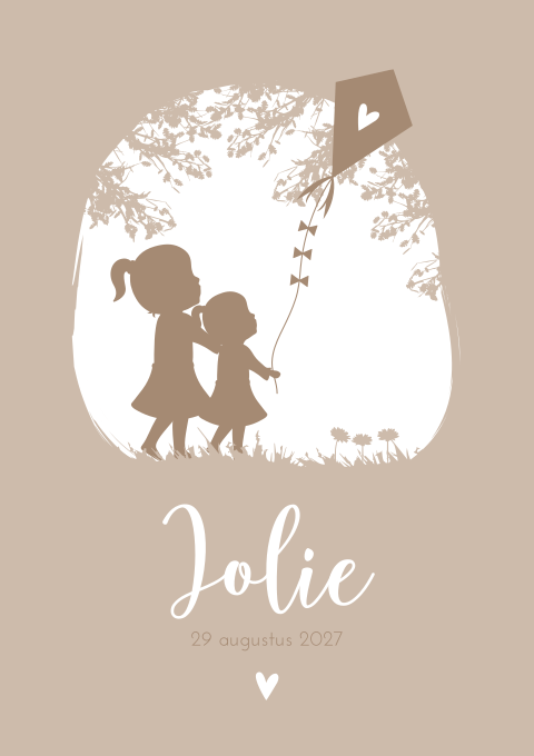 Geboortekaartje meisje zusjes vlieger roze