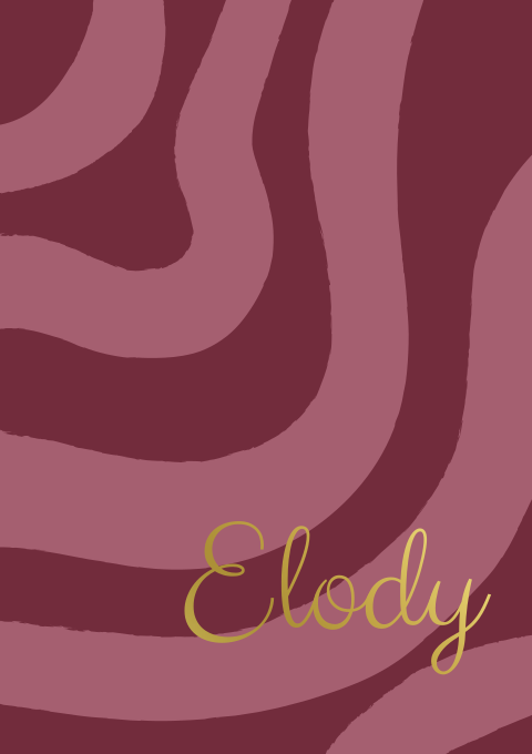 Geboortekaartje Meisje Colorblock Golven Hip