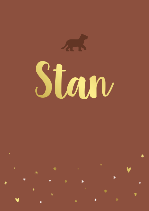 Geboortekaartje Jongen Roest Leeuw Goudfolie