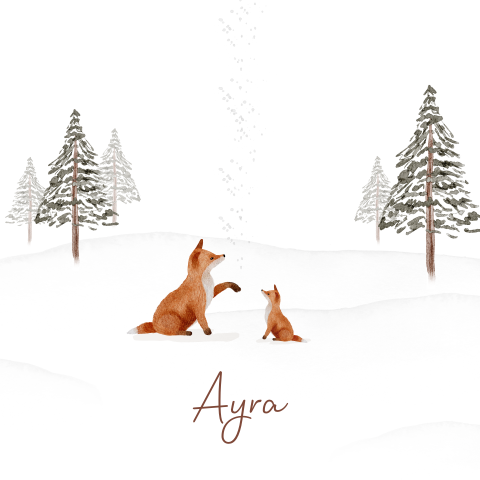 Geboortekaartje Meisje Vosjes Watercolor Winter