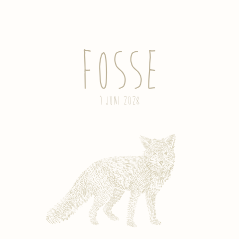 Geboortekaartje jongen beige vos