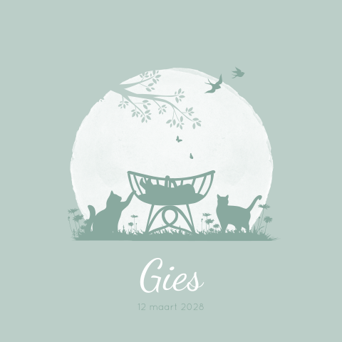 Geboortekaartje Jongen Wiegje Kat Poes