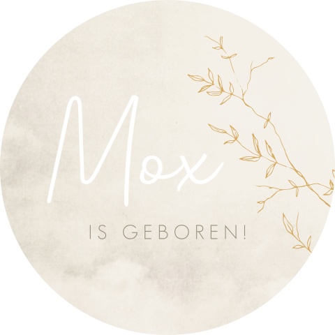 Raamsticker Rond Beige Gewolkt Takjes