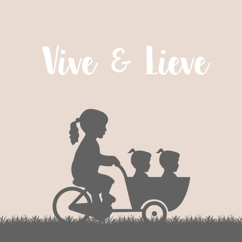 Geboortekaartje Tweeling Meisjes Bakfiets Silhouet
