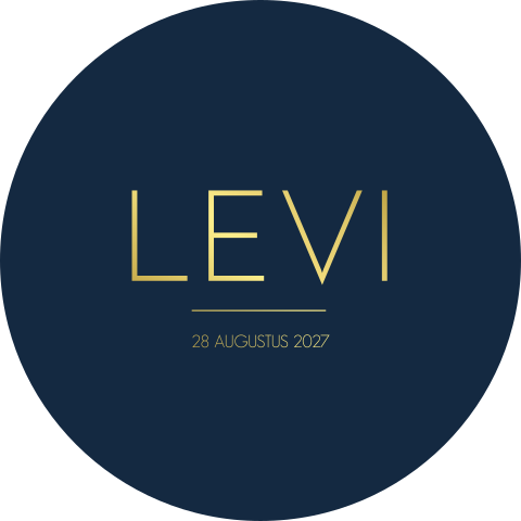 Geboortekaartje Jongen Rond Goudfolie Donkerblauw