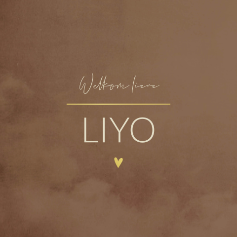 Geboortekaartje jongen bruin goudfolie