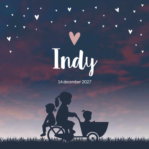 Geboortekaartje Meisje Zusjes Zonsondergang Bakfiets