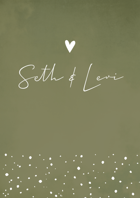 Geboortekaartje Tweeling Stoer Groen Stipjes