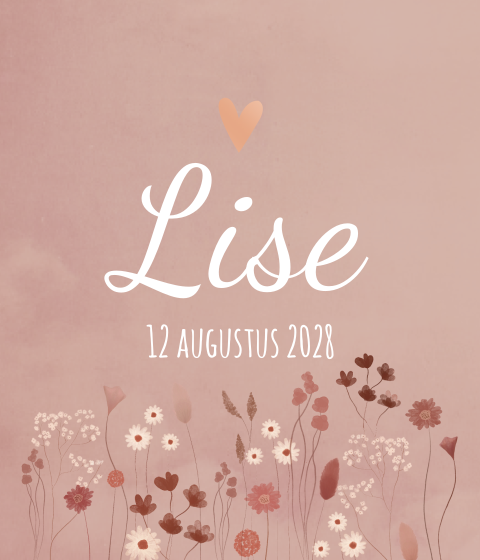 Meester Juf kaartje Lise